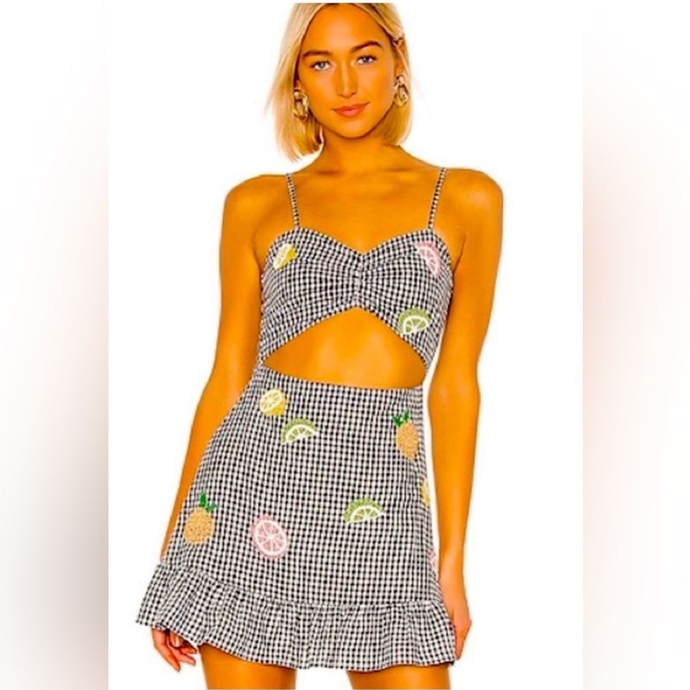 Lovers & Friends Gingham Beaded Fruit Dress NWT